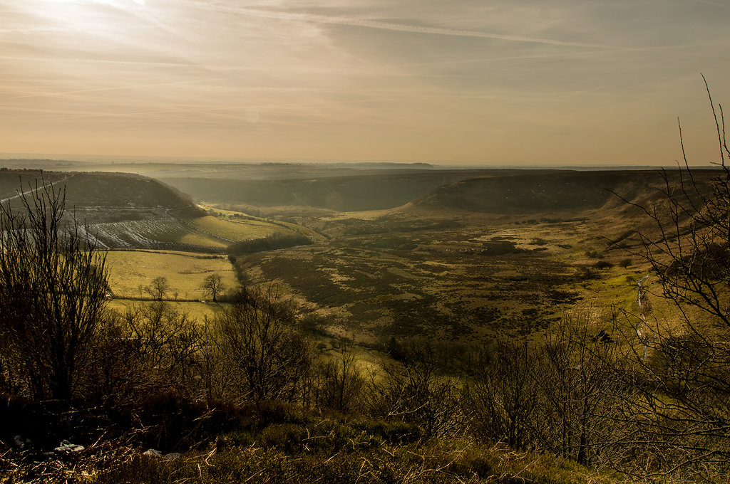 Near Whitby