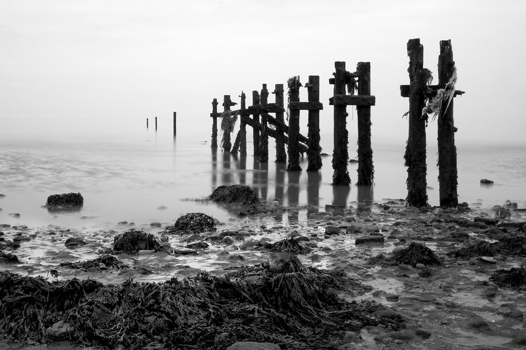 Spurn Slickers