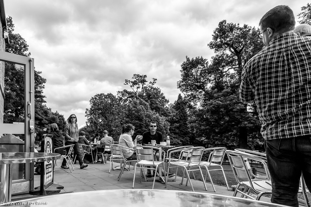 Tea Time at the Park