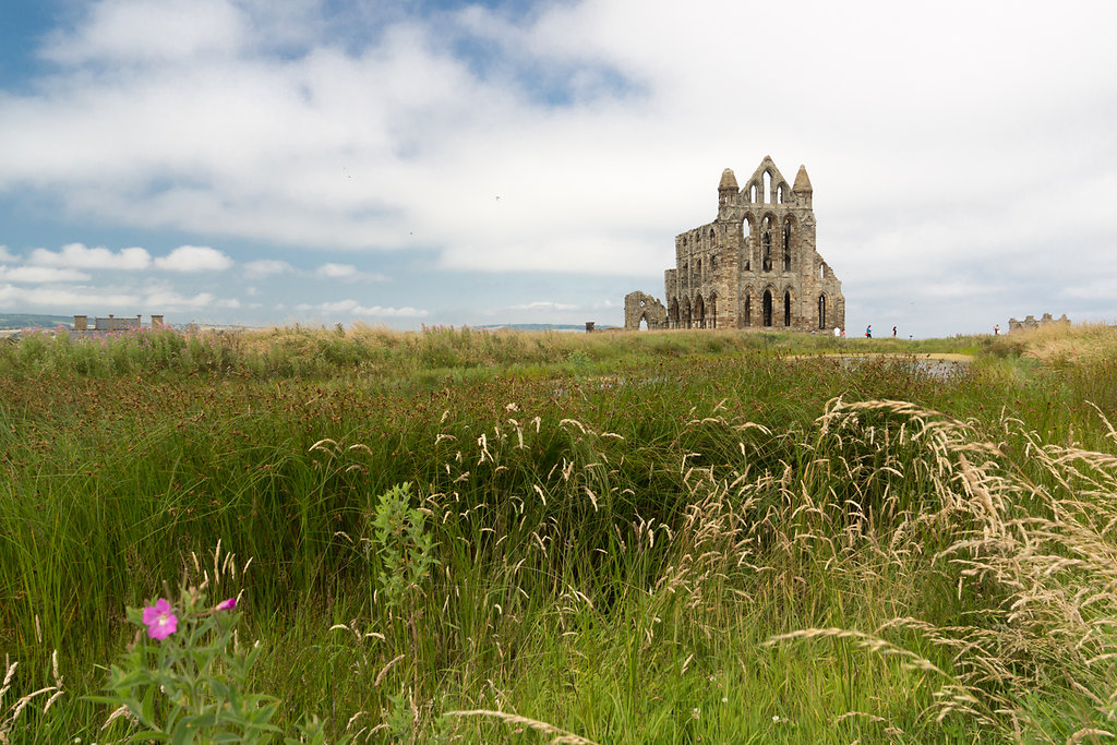 Whitby Ruin